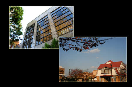 icho22.jpg